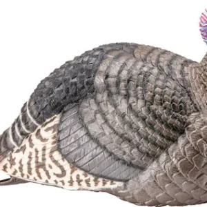 HS STRUT TURKEY DECOY JAKE