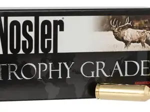 Nosler 40152 E-Tip  300 WSM 180 gr E Tip Lead Free 20 Per Box/ 10 Case