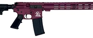 Great Lakes Firearms GL15223SSCHY AR-15  223 Wylde 16" Stainless 30+1, Black Cherry Rec, Black Stock & Grip