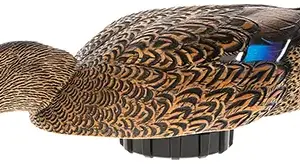 Avian X AVX-PSH-MHSF   Mallard Hen Species Multi-Color