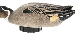 Avian X AVX-PSH-PNSF   Pintail Species Multi-Color