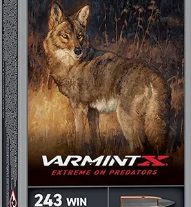 Winchester Ammo X243PXP Varmint X  243 Win 65 gr Extreme Point 20 Per Box/ 10 Case