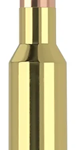 Nosler 61053   6.5x55 Swedish 140 gr Ballistic Tip 20 Per Box/ 10 Case