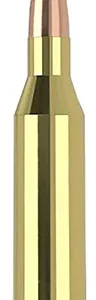Nosler 40041   243 Win 70 gr Ballistic Tip Varmint 20 Per Box/ 10 Case