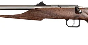 Chipmunk 40101 Hunter  Youth Frame 22 S/L/LR Single Shot 9" Threaded Stainless Steel Barrel, Walnut Frame, EZ Loader