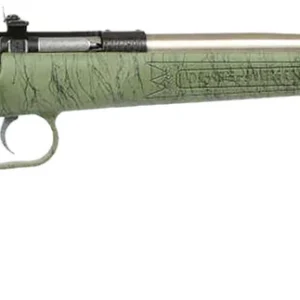 Crickett KSA2442 Gen2  Youth 22 LR 1rd 16.13" Stainless Single Shot Barrel, Stainless Steel Receiver, Green w/Black Webbing Fixed Synthetic Stock