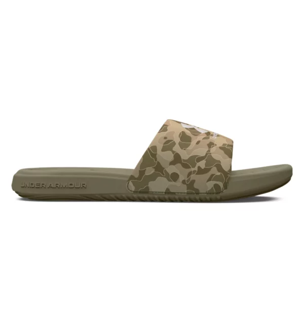 UA Ansa Graphic Slides