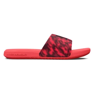 UA Ansa Graphic Slides