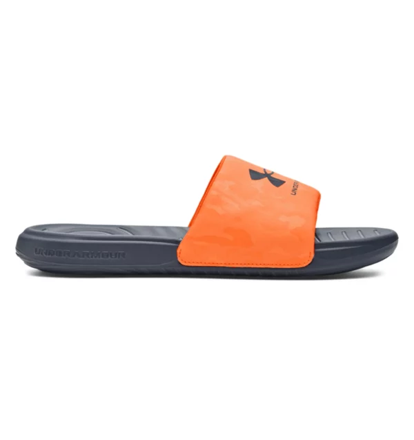 UA Ansa Graphic Slides