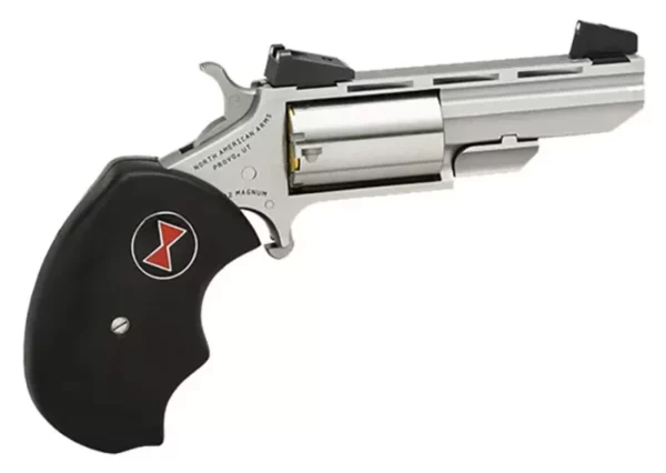 Mini Black Widow 22LR 2"VR S AS
