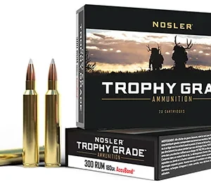 Nosler 60065 Trophy Grade  300 RUM 180 gr Nosler AccuBond 20 Per Box/ 10 Case