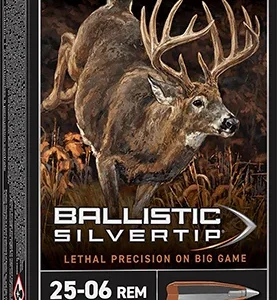 Winchester Ammo SBST2506A Ballistic Silvertip  25-06 Rem 85 gr Fragmenting Polymer Tip 20 Per Box/ 10 Case