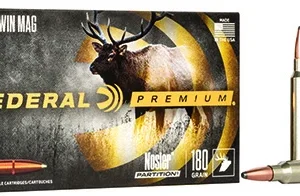 Federal P300WD2 Premium  300 Win Mag 180 gr Nosler Partition 20 Per Box/ 10 Case