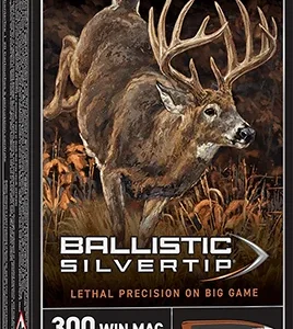 Winchester Ammo SBST300 Ballistic Silvertip  300 Win Mag 180 gr Rapid Controlled Expansion Polymer Tip 20 Per Box/ 10 Case