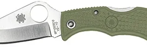 Spyderco LFGP3 Ladybug 3  1.94" Folding Clip Point Plain VG-10 SS Blade Foliage Green FRN Handle