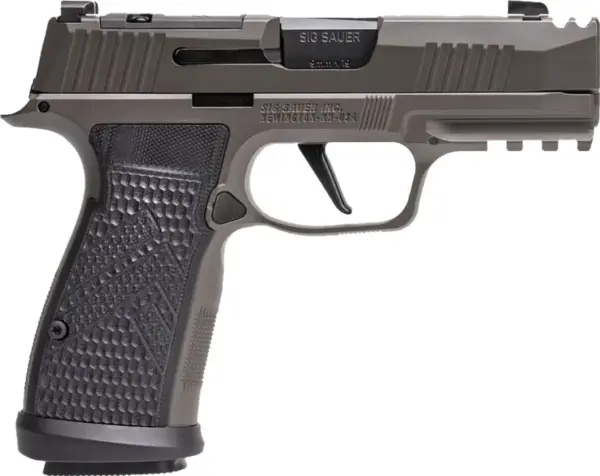 SIG P365AXG LEGION 9MM 10R XRY
