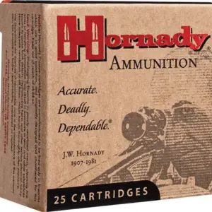 HORNADY 454 CASULL 300GR XTP - 20RD 10BX/CS