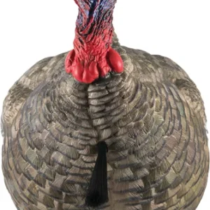 AVIAN X LCD QUARTER STRUT JAKE