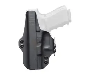 BLK PNT DUAL PNT SIG P365 AXG RH