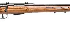 SAVAGE 25LW VARMINTER-T 22HORN