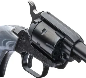 HERITAGE BARKEEP 22LR FS 2"