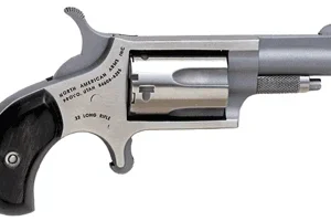 NAA MINI-REVOLVER 22LR 1-5/8"