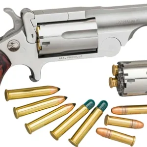 NAA MINI-REVOLVER 22LR/22WMR