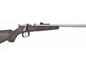 HENRY MINI BOLT 22LR 16.25" BLK/STS