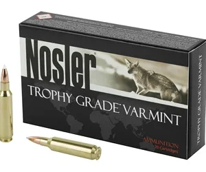 NOSLER 22NOS 70GR AB 20/200
