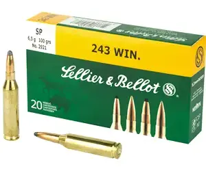 S&B 243WIN 100GR SP 20/500