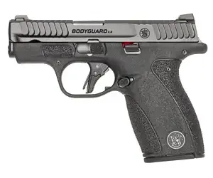 S&W BDYGRD 2.0 380ACP 2.75" 12RD NTS