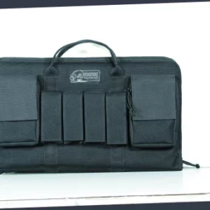 Enlarged Pistol Case