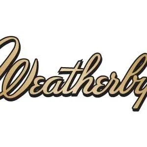 WEATHERBY VANGUARD OBSDN HB 350LEG 20"