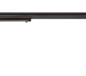 HERITAGE MANUFACTURING RR 22LR BLUE 16" 6RD FS
