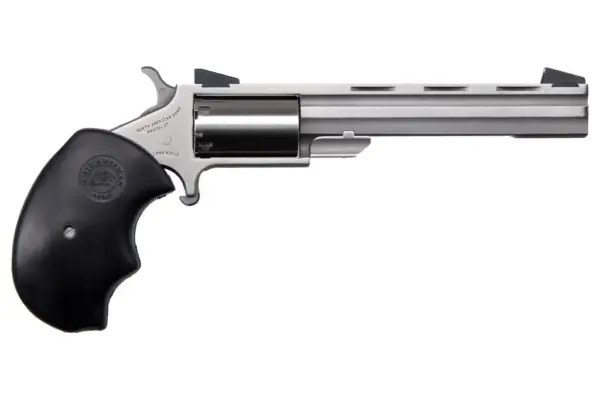 NAM MINI-MSTR 22LR REV 5SS FS