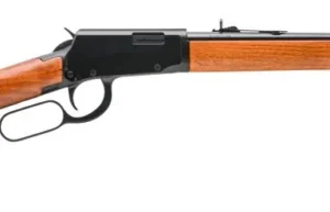 ROSSI RIO BRAVO 22WMR BL/WD 20" 12+1