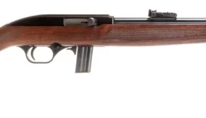 ROSSI RS22 22LR BLK/WD 18" 10+1